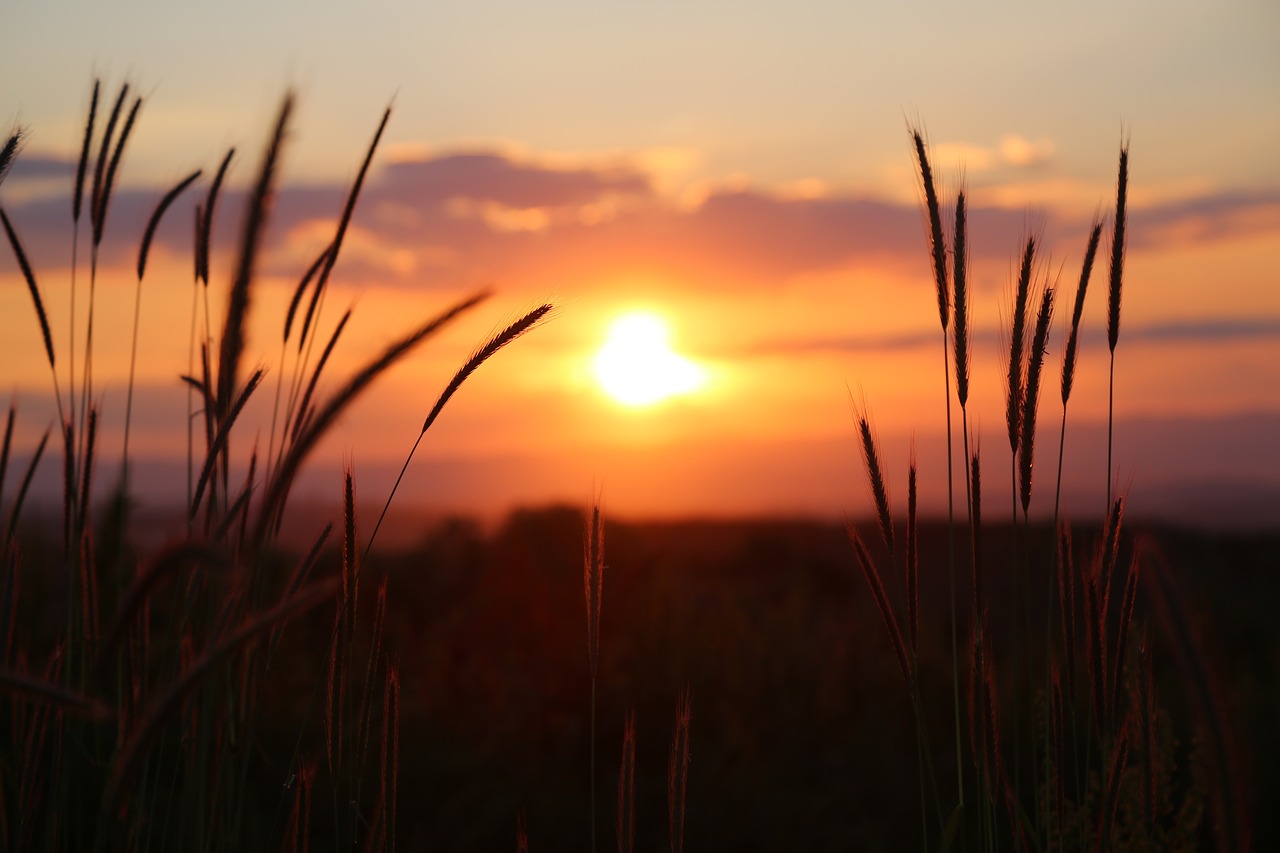 Drawing and Rendering a Picture Perfect Sunset